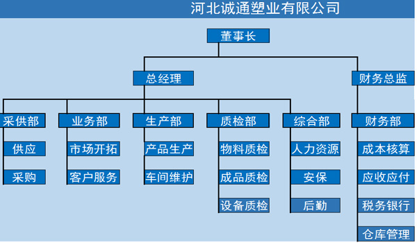 公司组织图